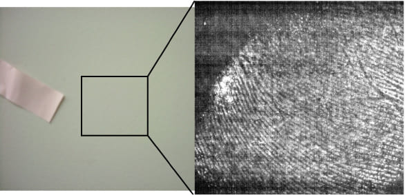 図4：HSIで取得したデータ(HSD:ハイパースぺクトル・データ)から再現された潜在指紋